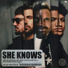 DIMITRI VEGAS & LIKE MIKE X DAVID GUETTA X AFRO BROS WITH AKON - SHE KNOWS